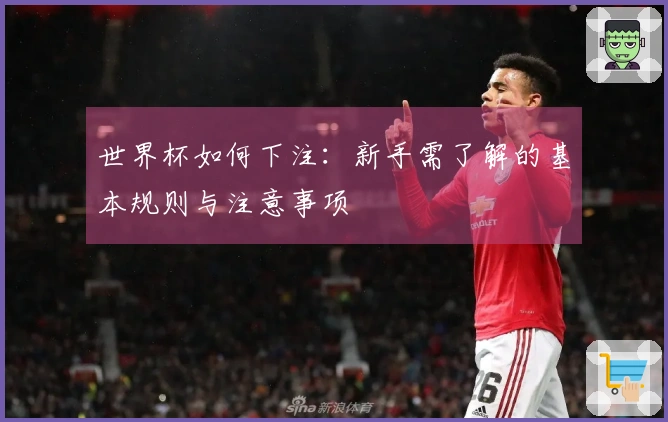 世界杯如何下注:新手需了解的基本规则与注意事项